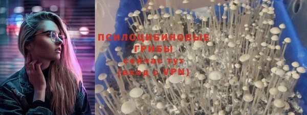 спайс Балахна
