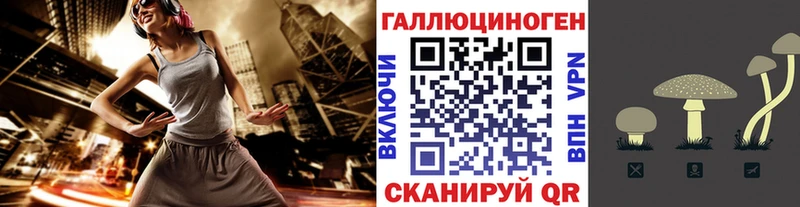 кракен маркетплейс  Вольск  Псилоцибиновые грибы Cubensis  купить закладку 